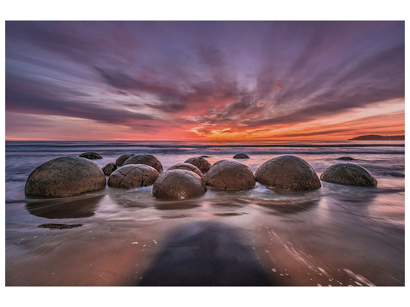 5-piece-canvas-print-the-barrier