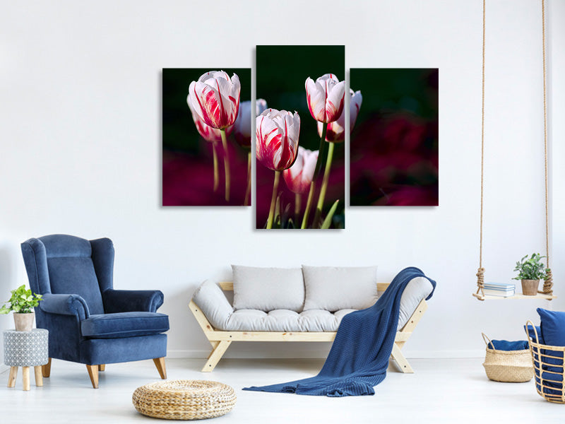 5-piece-canvas-print-the-beauty-of-the-tulips