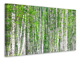 5-piece-canvas-print-the-birch-forest