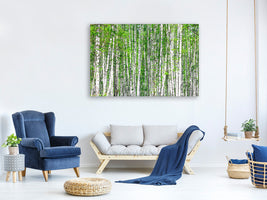 panoramic-canvas-print-the-birch-forest