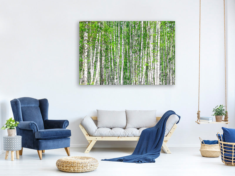 modern-4-piece-canvas-print-the-birch-forest