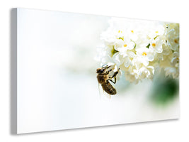 5-piece-canvas-print-the-bumblebee-and-the-flower
