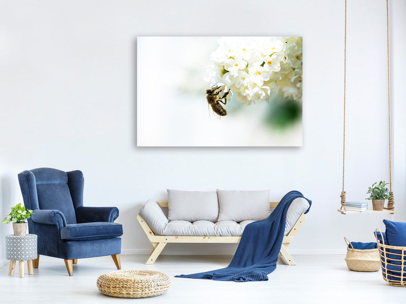 4-piece-canvas-print-the-bumblebee-and-the-flower