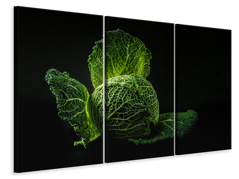 modern-3-piece-canvas-print-the-cabbage