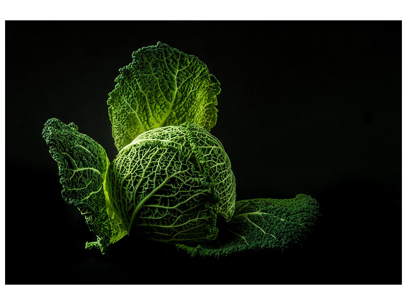 3-piece-canvas-print-the-cabbage