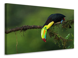 3-piece-canvas-print-the-colors-of-costa-rica