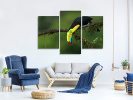 3-piece-canvas-print-the-colors-of-costa-rica