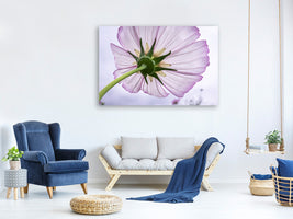 3-piece-canvas-print-the-cosmos-flower