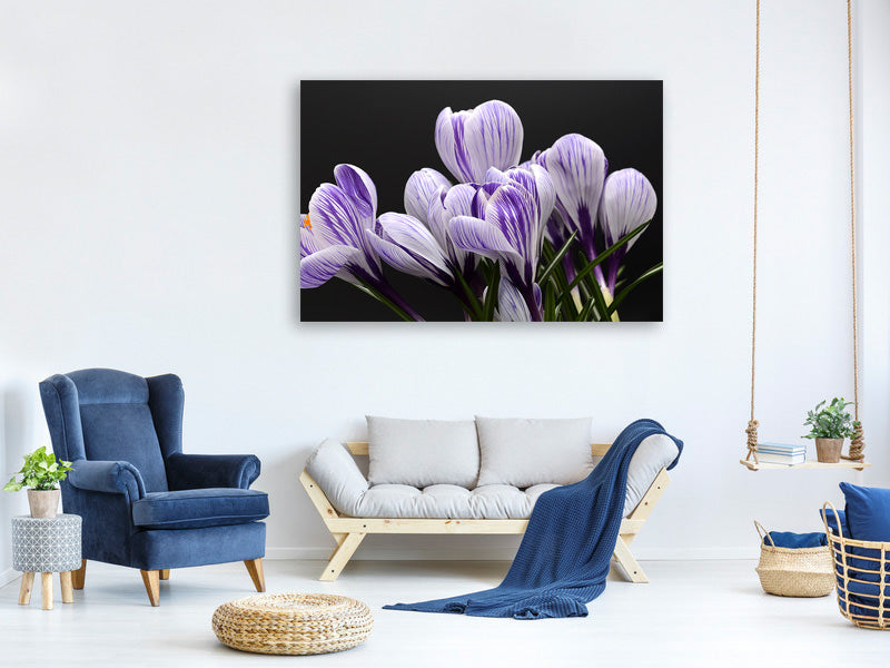 modern-3-piece-canvas-print-the-crocus
