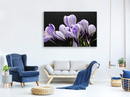 3-piece-canvas-print-the-crocus