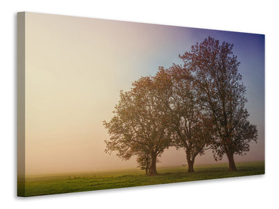 3-piece-canvas-print-the-crooked-tree