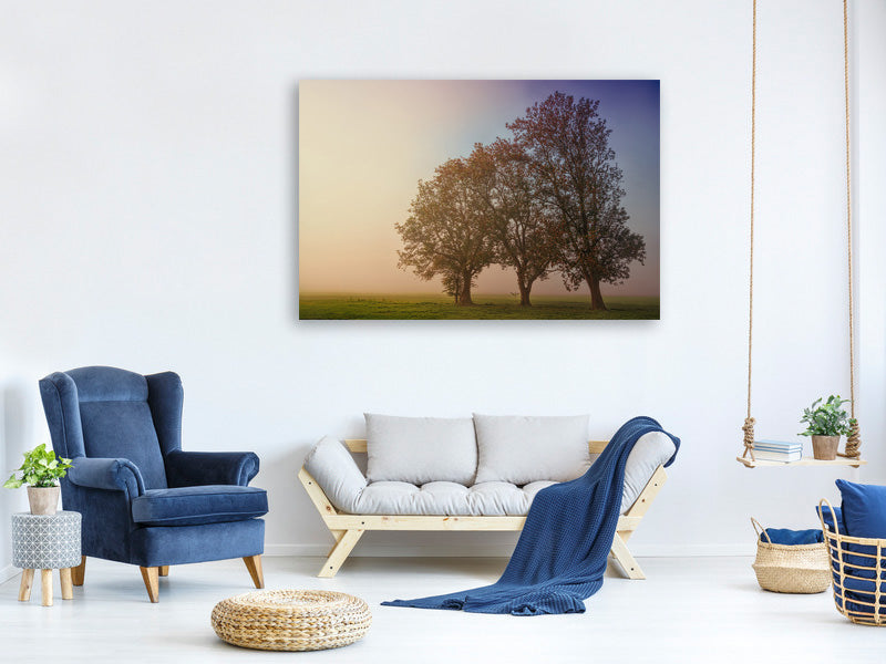 3-piece-canvas-print-the-crooked-tree