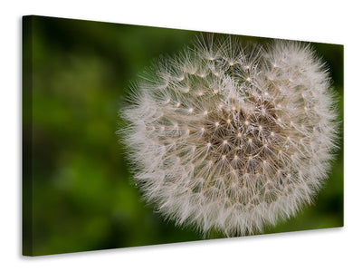 3-piece-canvas-print-the-dandelion-in-nature