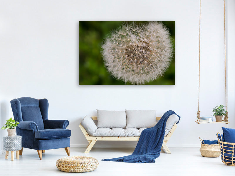modern-4-piece-canvas-print-the-dandelion-in-nature