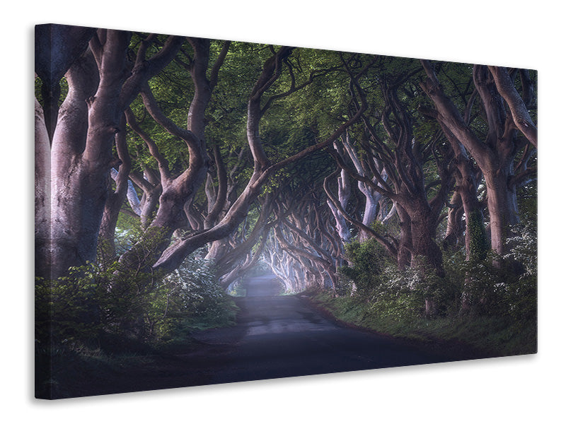 5-piece-canvas-print-the-dark-hedges