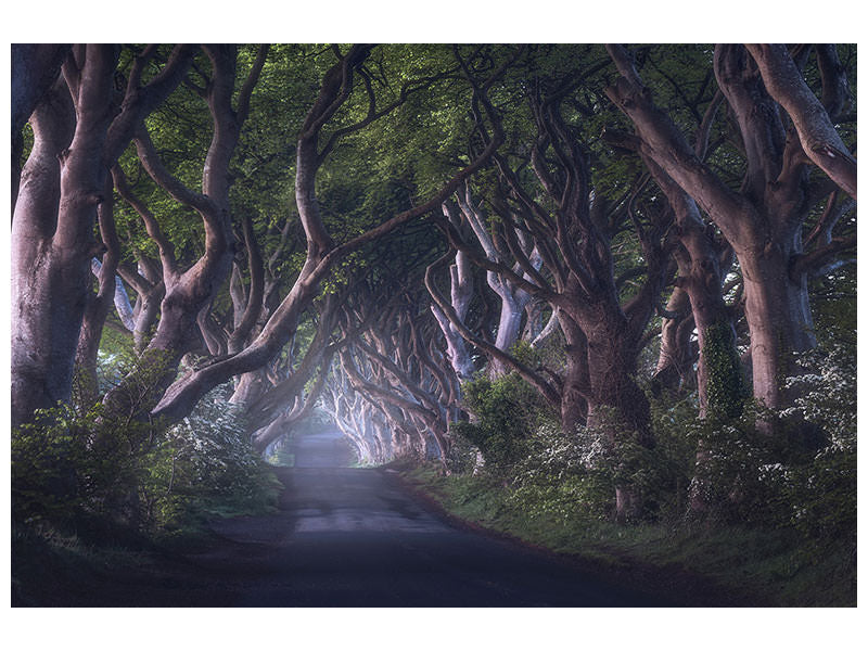 modern-3-piece-canvas-print-the-dark-hedges