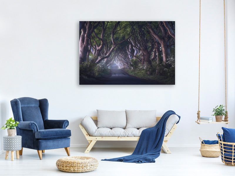 modern-3-piece-canvas-print-the-dark-hedges