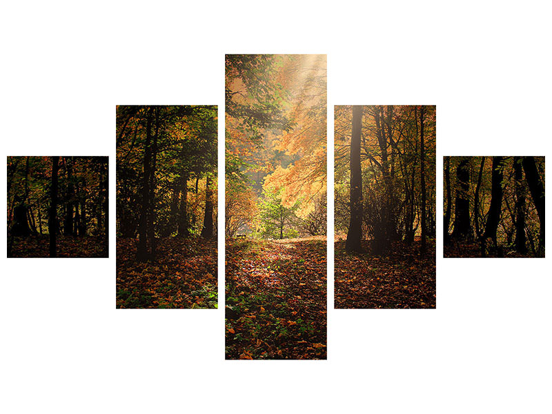 modern-3-piece-canvas-print-the-deciduous-forest