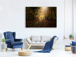 4-piece-canvas-print-the-deciduous-forest