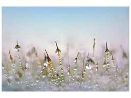 modern-3-piece-canvas-print-the-dew-drops