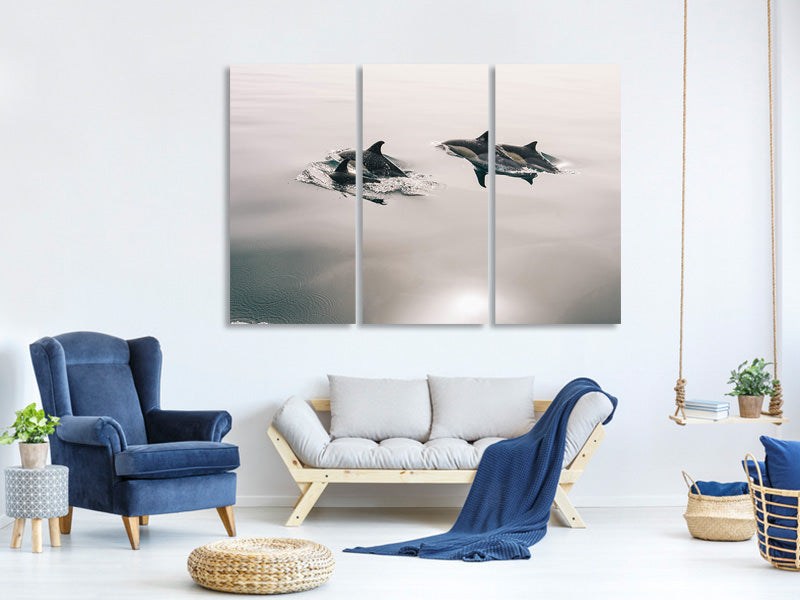 panoramic-3-piece-canvas-print-the-dolphins