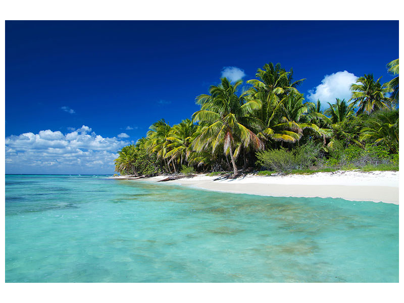 modern-4-piece-canvas-print-the-dream-island