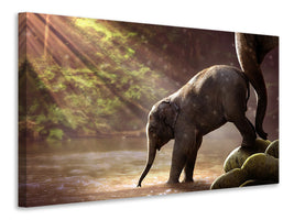 3-piece-canvas-print-the-elephant-baby