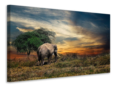 3-piece-canvas-print-the-elephant-in-the-sunset