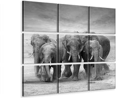 4-piece-canvas-print-the-elephants
