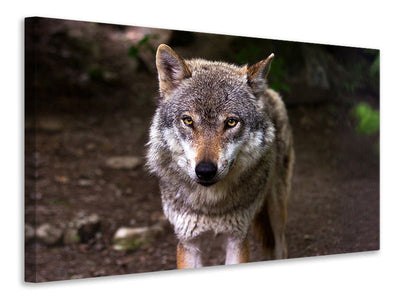3-piece-canvas-print-the-evil-wolf