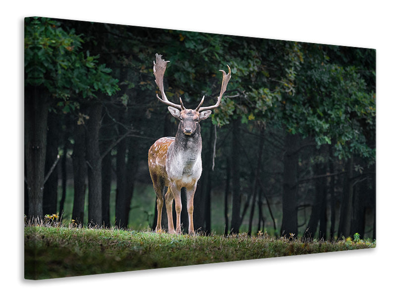 3-piece-canvas-print-the-fallow-deer-ii