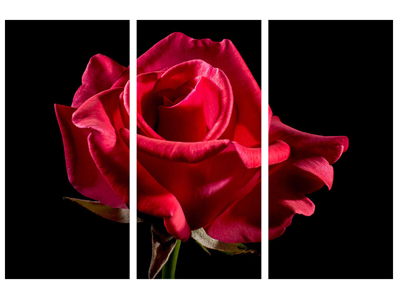 canvas-print-the-flower-of-love