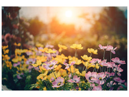 3-piece-canvas-print-the-flowers