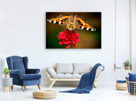 3-piece-canvas-print-the-flying-fox