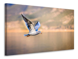 3-piece-canvas-print-the-flying-seagull