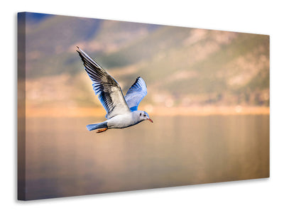 3-piece-canvas-print-the-flying-seagull