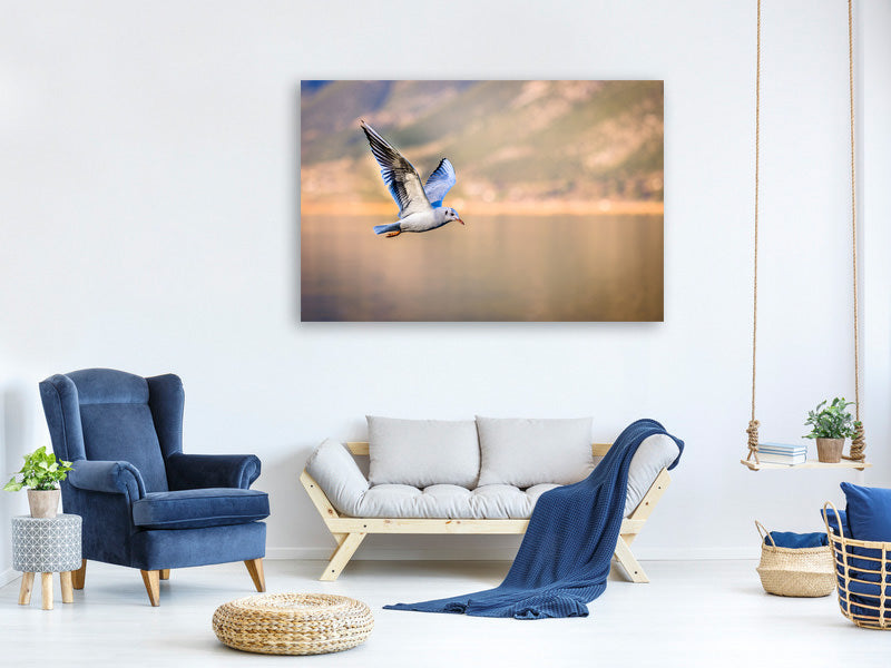 3-piece-canvas-print-the-flying-seagull