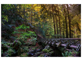 3-piece-canvas-print-the-forest-bridge