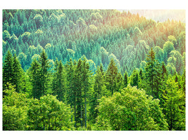 5-piece-canvas-print-the-forest-hill