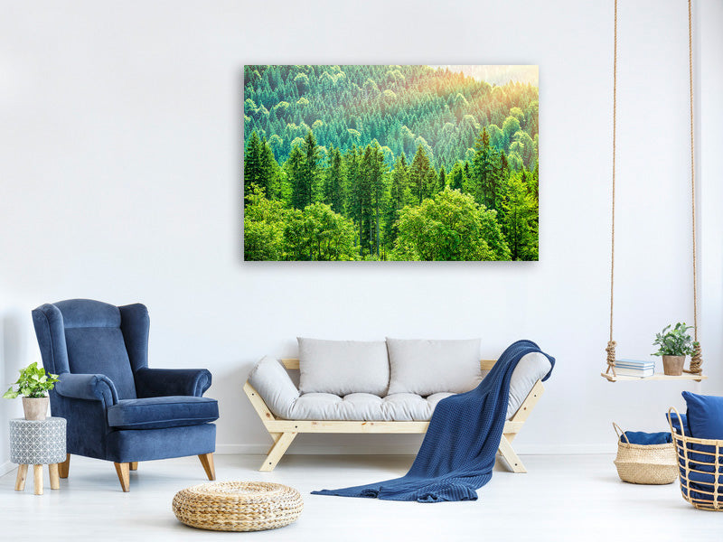 5-piece-canvas-print-the-forest-hill