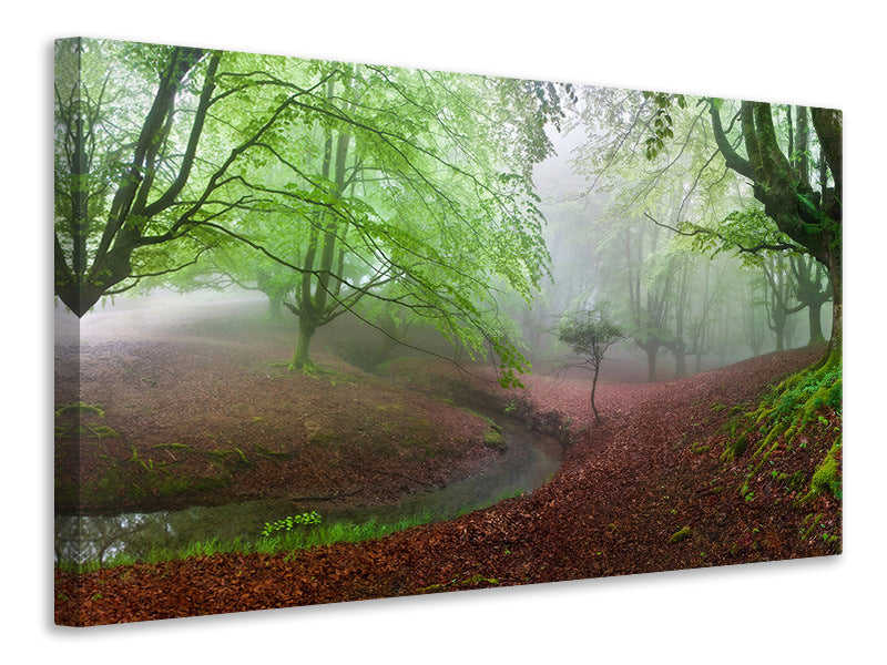 5-piece-canvas-print-the-forest-maravillador-iii
