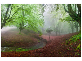 modern-3-piece-canvas-print-the-forest-maravillador-iii