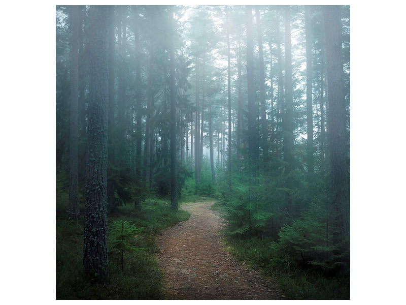 9-piece-canvas-print-the-forest-of-secrets