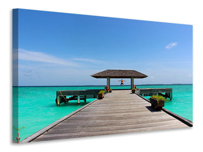 panoramic-canvas-print-the-freedom-at-the-sea