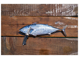 panoramic-3-piece-canvas-print-the-fresh-fish
