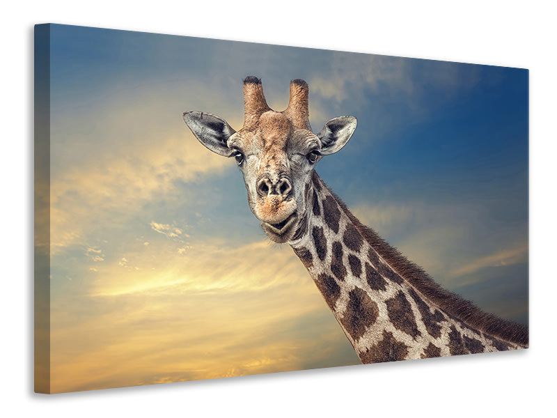 3-piece-canvas-print-the-friendly-giant
