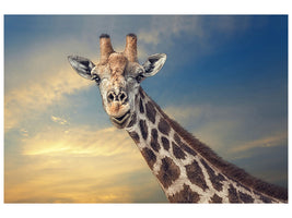 3-piece-canvas-print-the-friendly-giant