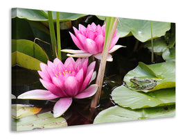 3-piece-canvas-print-the-frog-in-the-protection-of-water-lilies
