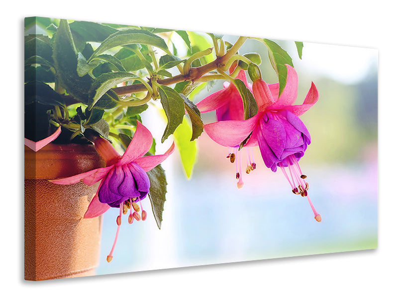 5-piece-canvas-print-the-fuchsias
