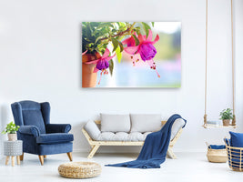 modern-3-piece-canvas-print-the-fuchsias